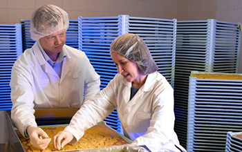 FOOD AND BEVERAGE industry